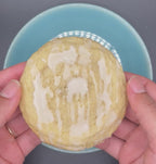 Maple Sugar Cookie
